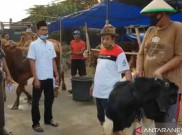 Anies Larang Pembeli Hewan Kurban Datang saat Pemotongan