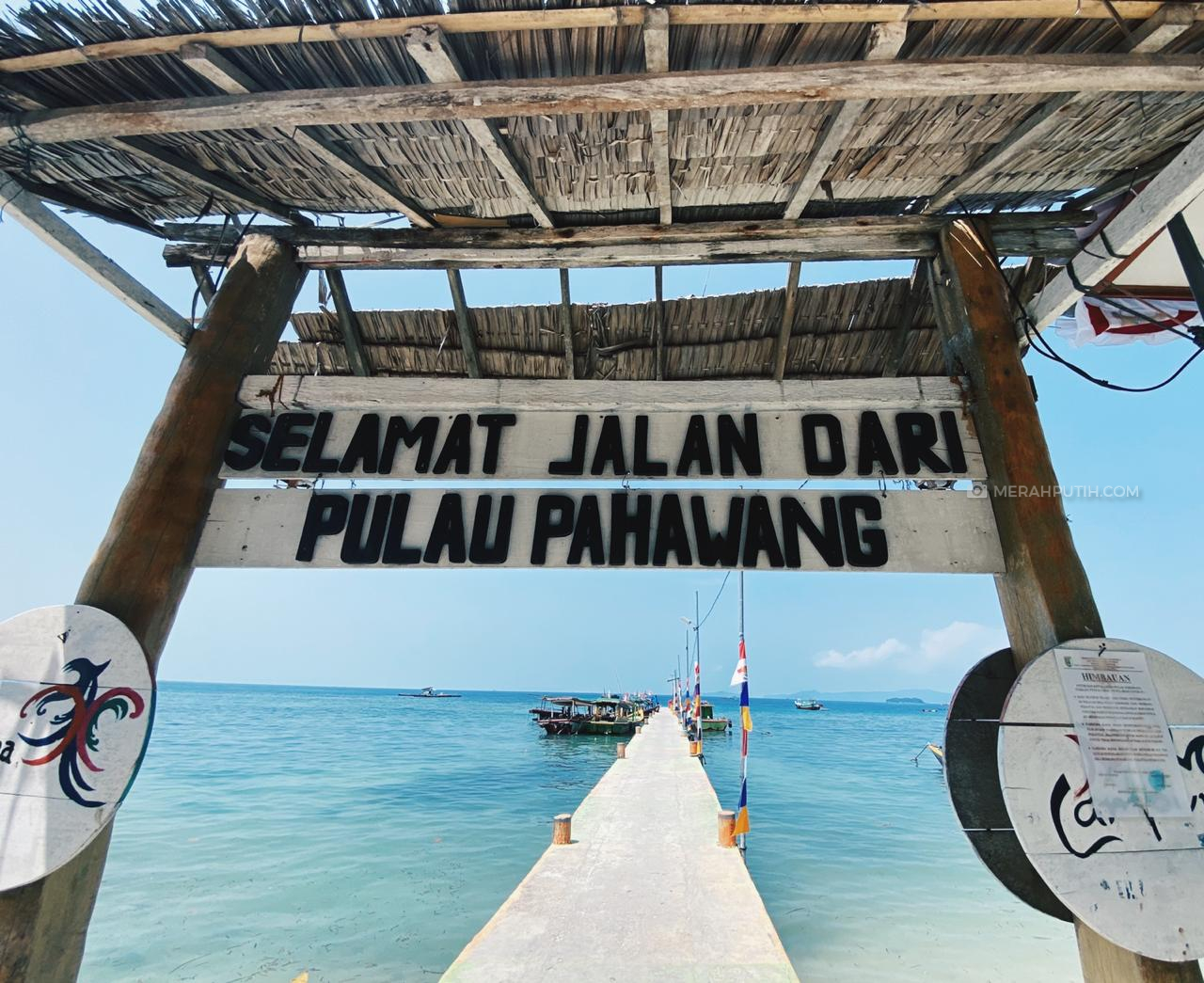 Pulau Pahawang, Snorkeling, Diving dan Bercanda Bersama Nemo