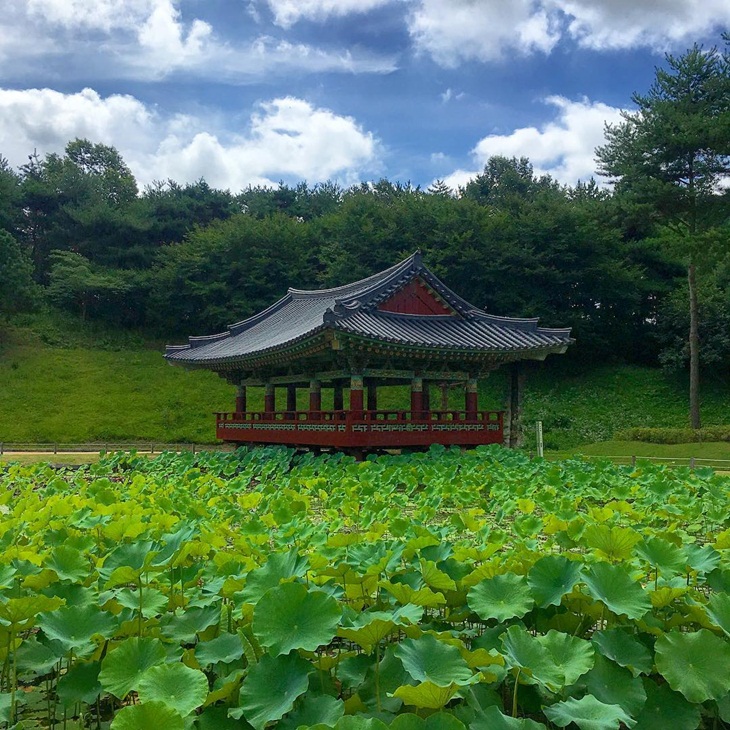 Salah satu sudut di kawasan Baekje Curtural Land. (Foto: instagram.com/baekje_culturalland)