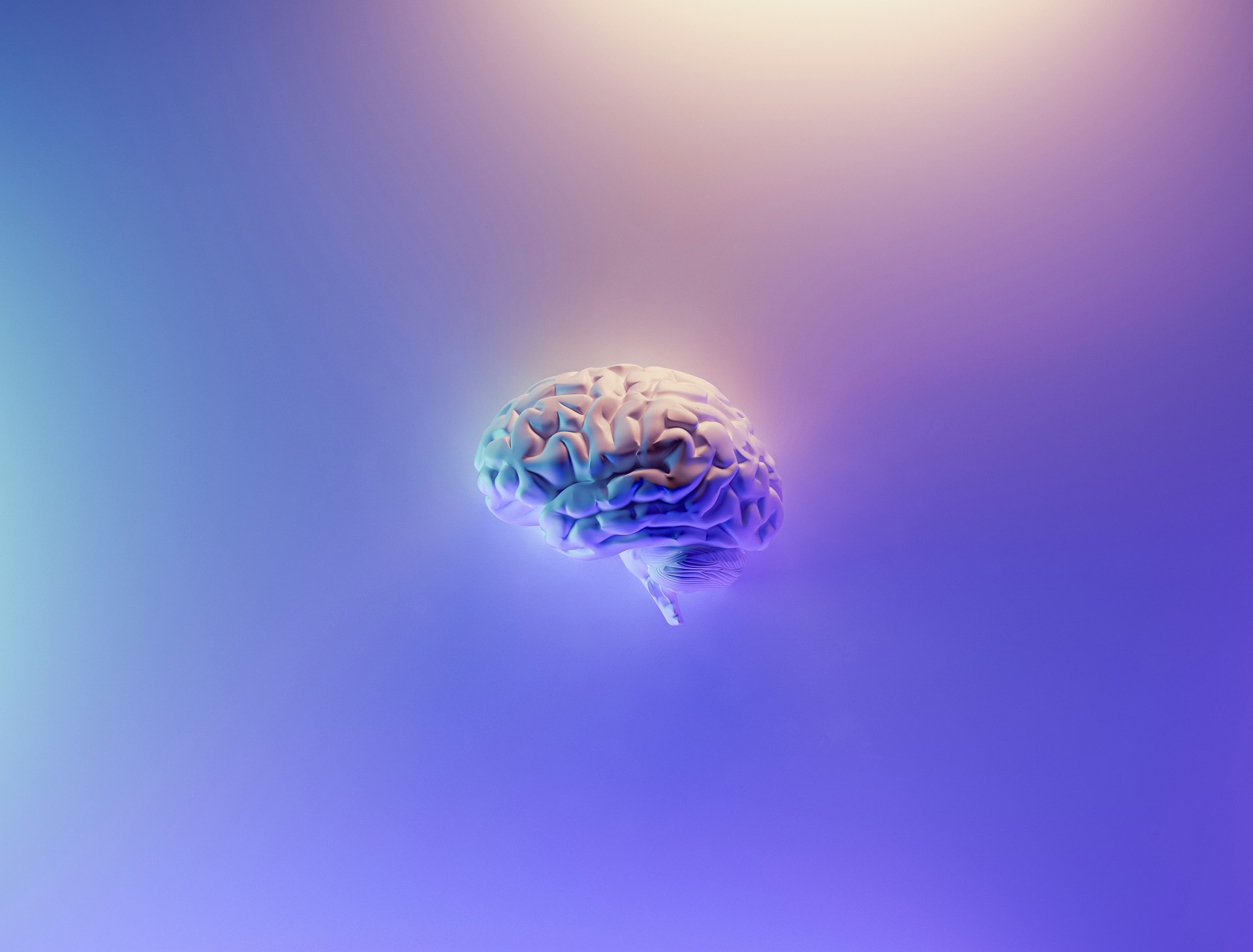 Universitas di Swiss Ingin Buat Chip Otak yang Lebih Kecil dari Neuralink