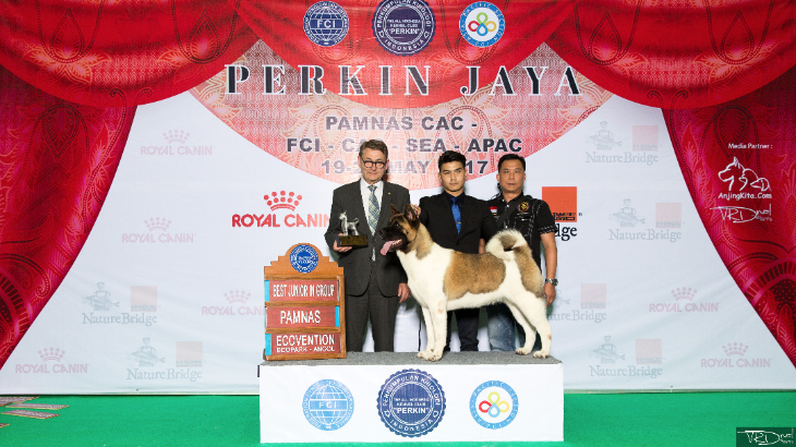 American Akita, Ras Keturunan Anjing Kerajaan Jepang