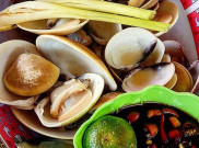 Ale-ale, Buruan Para Pecinta Kerang di Kalbar