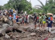Aparat Harus Proses Hukum Pelaku Perusakan Alam di Flores