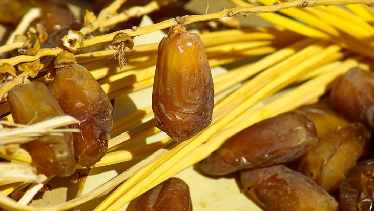 makanan
