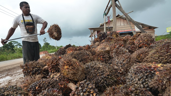 Menkeu Teken Sanksi Eksportir SDA yang Simpan Uangnya di Luar Negeri