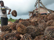 Menkeu Teken Sanksi Eksportir SDA yang Simpan Uangnya di Luar Negeri