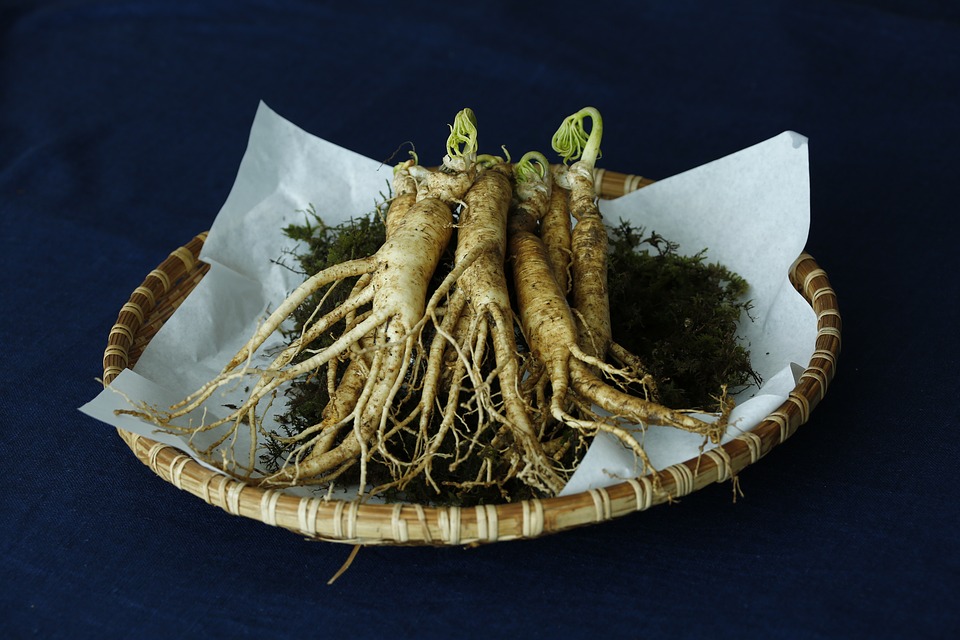 Ginseng (Sumber: Pixabay/whaltns17)