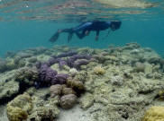 Indonesia Travel Mart Diyakini Dongkrak Kunjungan Wisman ke Tanah Air