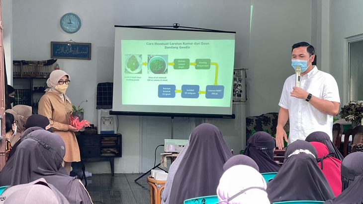 Pemanfaatan Tanaman Dandang Gendis untuk Kesehatan Mulut