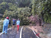 Jalur Selatan Cianjur Kini Dapat Dilalui secara Normal Setelah Sempat Tertutup Longsor dan Pohon Tumbang, Pengguna Jalan Diminta Tingkatkan Kewaspadaan
