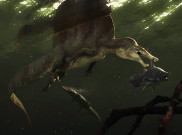 Rekonstruksi Ilmuwan Pecahkan Misteri Spinosaurus, Dinosaurus Perenang Pertama