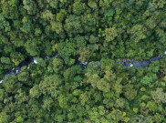Hilang Kabar 19 Tahun, Pekerja Migran Indonesia Ditemukan di Tengah Hutan Malaysia