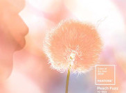Peach Fuzz Terpilih Jadi Color of The Year 2024, ini Inspirasi Padu Padannya 