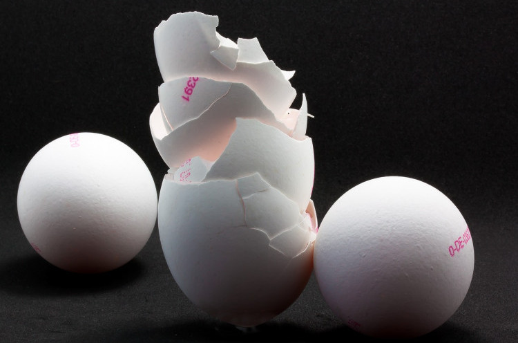 Benarkah Cangkang Telur Bisa untuk Memperbaiki Kerusakan Tulang?