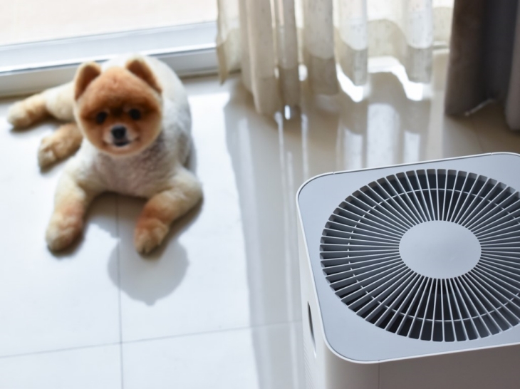 Air purifier juga baik ditempatkan di ruang keluarga (Foto: 123RF/sutichak)