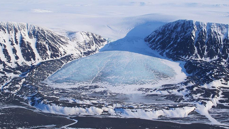novaya