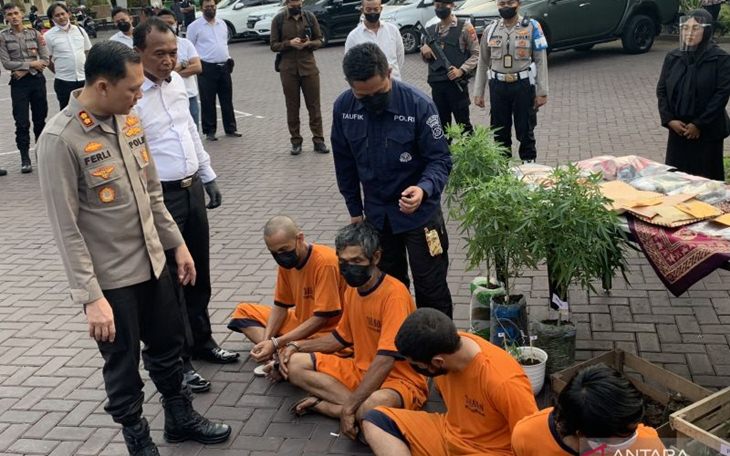 Petani di Malang Nekat Tanam Ratusan Ganja di Lereng Semeru