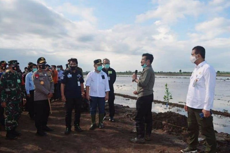 Mentan Mantapkan Lokasi Lumbung Pangan di Kalimantan