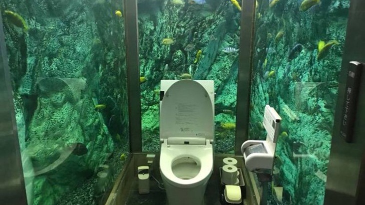Yuk Intip Keunikan Toilet Akuarium yang Lagi Viral!