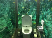 Yuk Intip Keunikan Toilet Akuarium yang Lagi Viral!
