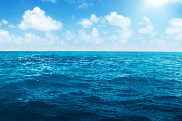 Laut