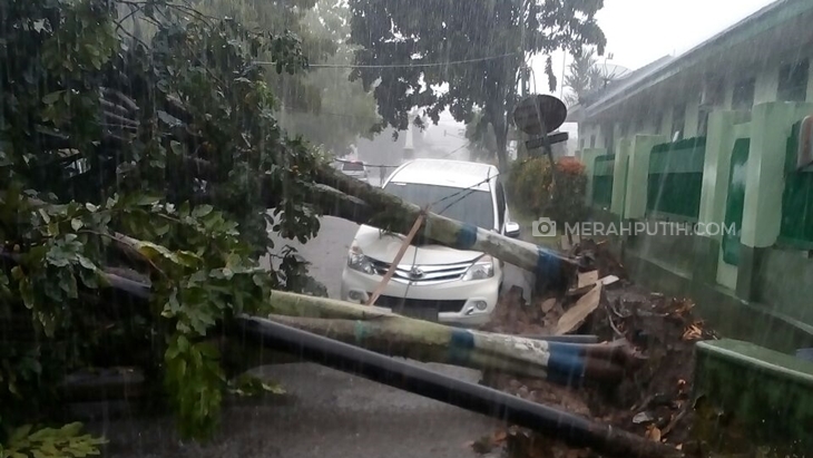 Seorang Warga Meninggal Dunia Setelah Tertimpa Pohon