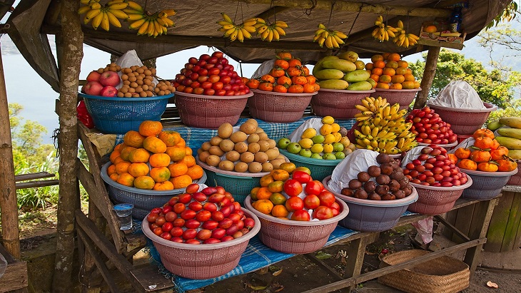 Melihat Keseruan Festival Bunga dan Buah Berastagi 2022