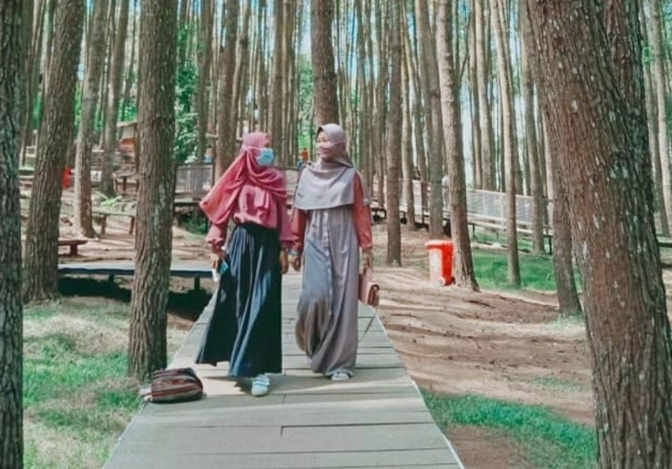 Terkendala Sinyal, Pengunjung Hutan Pinus Yogyakarta Kesulitan Akses PeduliLindungi