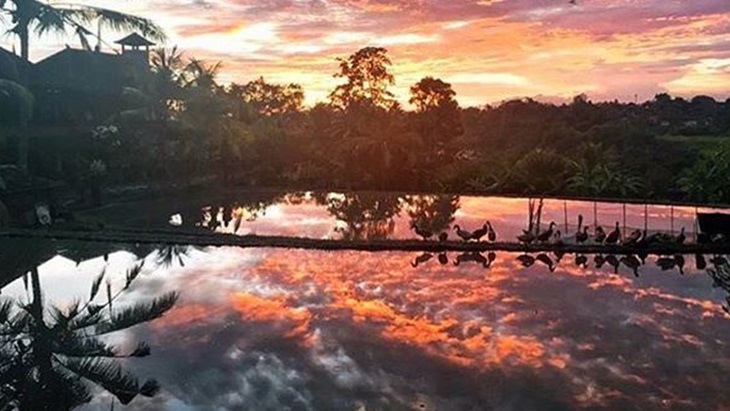 Wow, Ubud Menjadi Kota Terbaik Kedua Se-Asia 