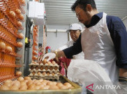 Mentan Pastikan Ketersedian Telur Ayam Terpenuhi Jelang Lebaran