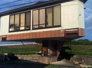 Rumah Jamur Ini Jadi Sorotan di Internet, Intip Keunikannya