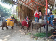 Solo Zoo Galang Donasi untuk Beli Pakan Hewan Terancam Kelaparan, 17 Ribu Tiket Terjual