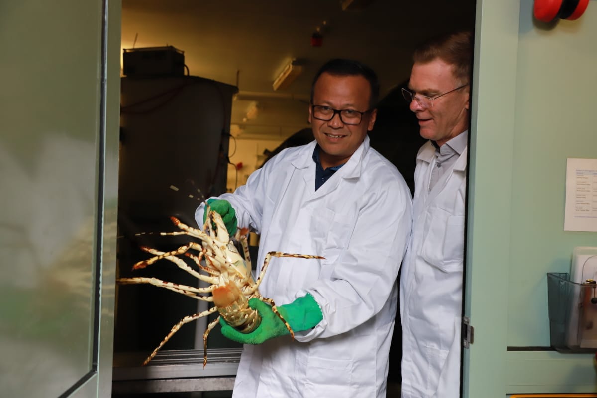 Menteri Kelautan dan Perikanan melakukan lawatan ke Institute for Marine and Antarctic Studies (IMAS), atau pusat studi kelautan dan antartika, Universitas Tasmania, Australia Kamis (27/1). Foto: Humas KKP