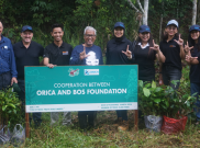 Dukung Program KLHK, Orica dan Borneo Orangutan Survival Foundation Jalin Kemitraan