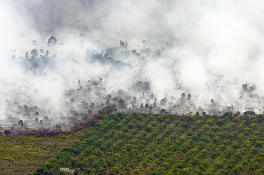 Kebakaran Hutan dan Lahan Kembali Melanda Riau dan Sumut, KLHK?