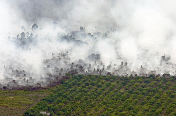 Kebakaran Hutan dan Lahan Kembali Melanda Riau dan Sumut, KLHK?