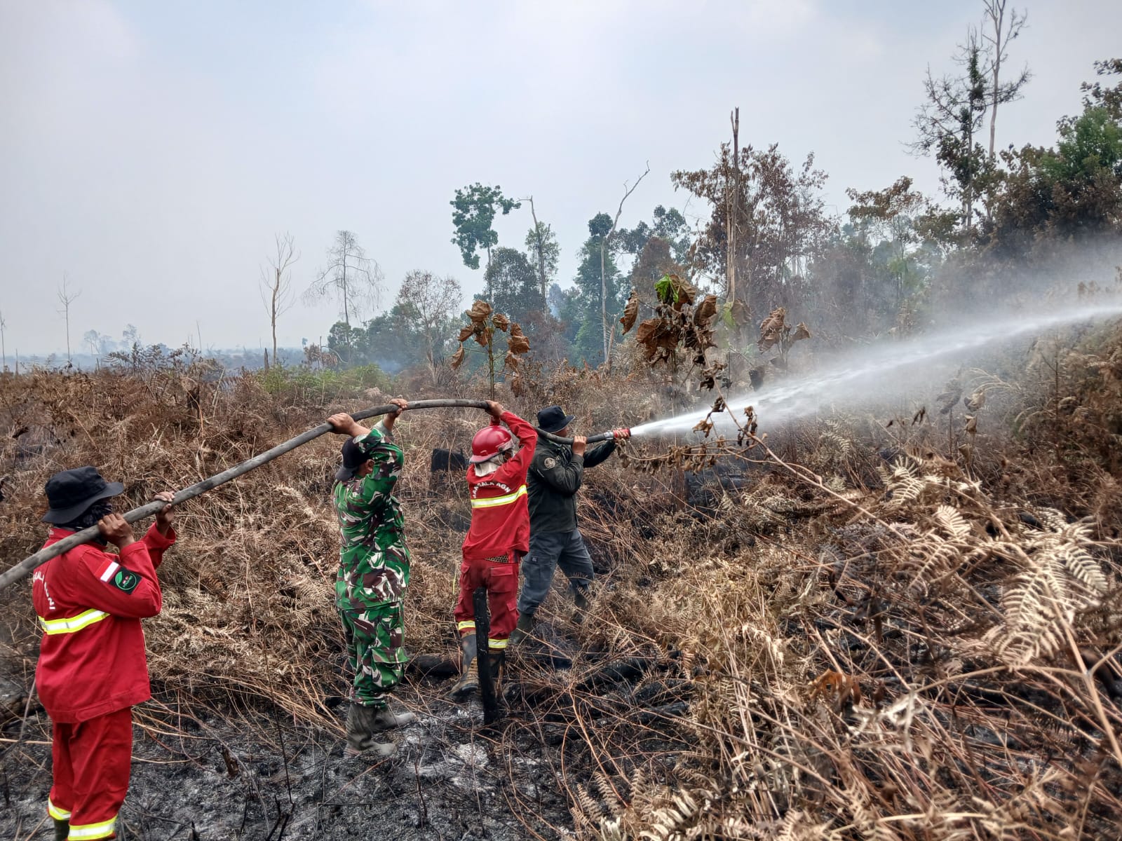Karhutla Mulai Masuk Kawasan Konservasi, Jadi Tantangan Serius