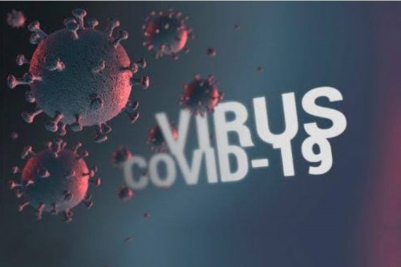 Ilustrasi - Virus Corona (COVID-19). (Dok Antara)