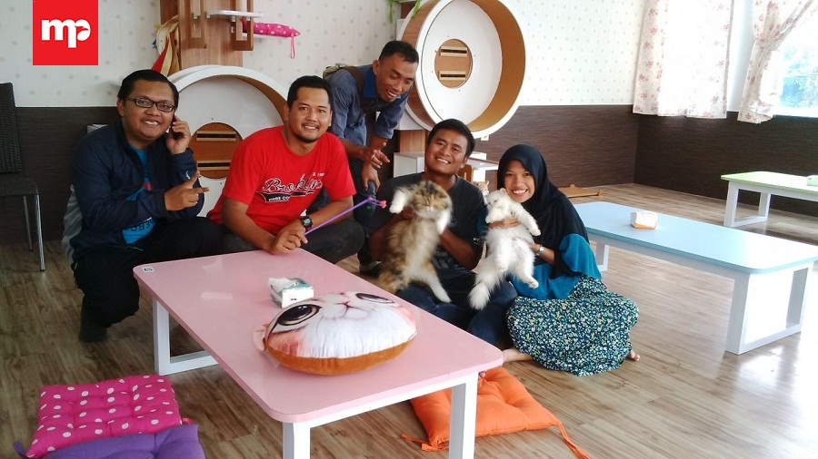 Veelia Cat & Kitchen, Salon Kucing dan Kafe Pertama di Cirebon