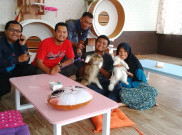 Veelia Cat & Kitchen, Salon Kucing dan Kafe Pertama di Cirebon
