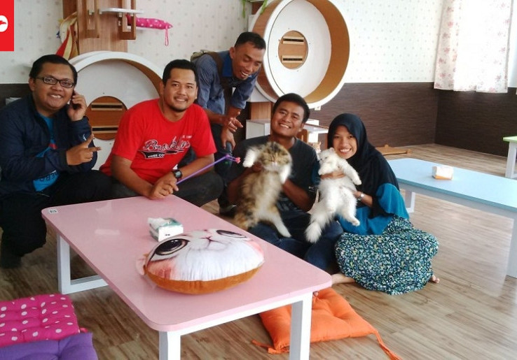 Veelia Cat & Kitchen, Salon Kucing dan Kafe Pertama di Cirebon