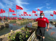 Hasto Imbau Ring Satu Jokowi Tak Bersikap Asal Bapak Senang