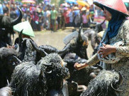 Kebo-keboan, Tradisi Unik Khas Banyuwangi Agar Panen Sukses