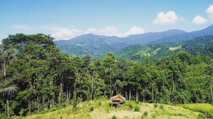 Taman Nasional Lore Lindu, Surga Bagi Flora dan Fauna Endemik Sulawesi