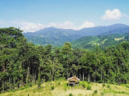 Taman Nasional Lore Lindu, Surga Bagi Flora dan Fauna Endemik Sulawesi