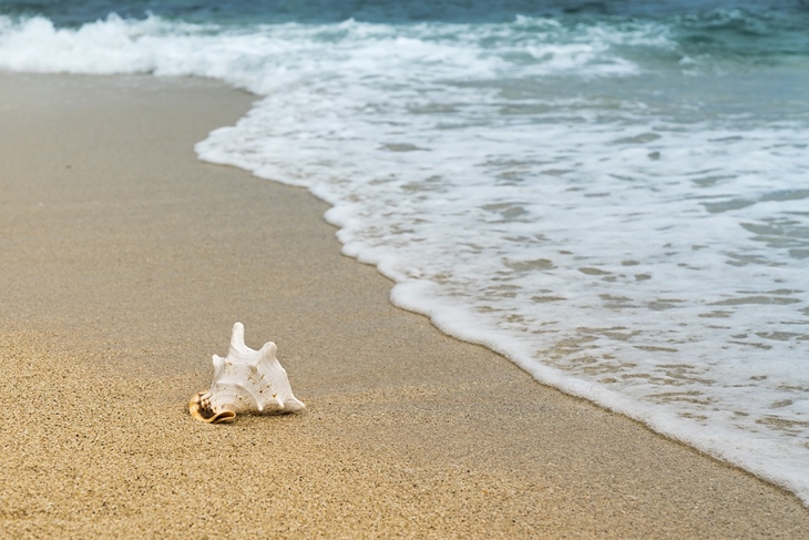 Pantai Labuhan Juku surga untuk para peselancar. (Foto: Pixabay/Quangpraha)