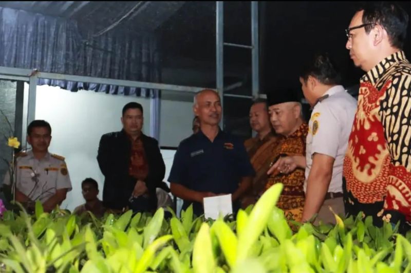 Bunga Anggrek Malang Diekspor ke Taiwan