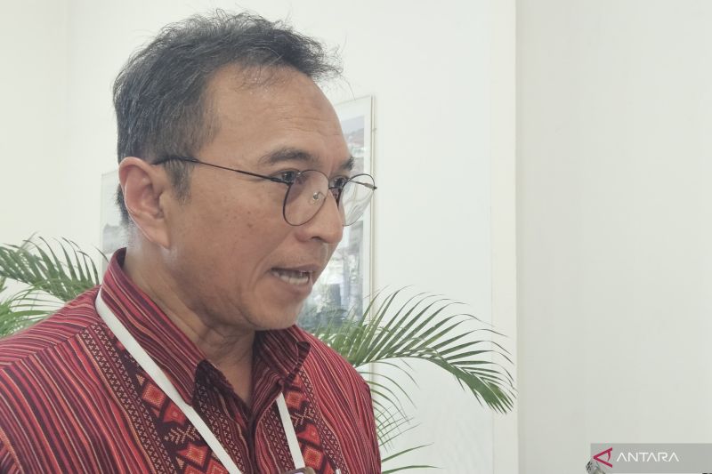 IDAI Soroti Buruknya Layanan Kesehatan dan Kurangnya Perhatian Negara di Kasus Kematian Balita di Sukabumi