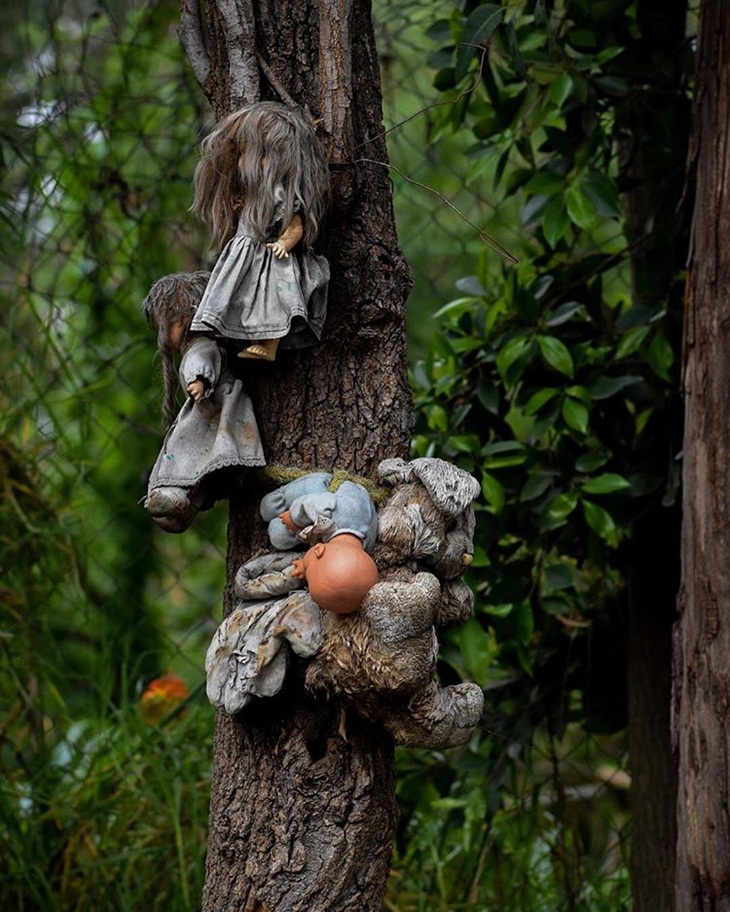 Boneka-boneka menyeramkan tergantung di sebuah pohon di Island of Dolls. (Foto: instagram.com/ana.estheticc)