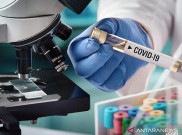 Pfizer Tetapkan Harga Jual Vaksin COVID-19, Berapa?